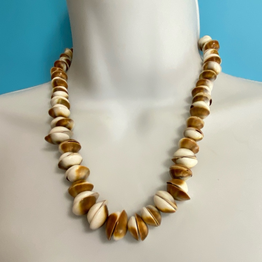 Seashell Necklace White Brown Graduated Shell Beads